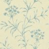 Agapanthus ZPAW04001